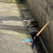 ヒメ日記 2025/08/05 10:52 投稿 あんり 北九州人妻倶楽部（三十路、四十路、五十路）