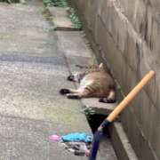 ヒメ日記 2025/08/17 17:36 投稿 あんり 北九州人妻倶楽部（三十路、四十路、五十路）