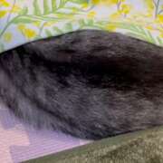 ヒメ日記 2025/08/18 09:06 投稿 あんり 北九州人妻倶楽部（三十路、四十路、五十路）