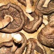 ヒメ日記 2025/09/14 19:17 投稿 あんり 北九州人妻倶楽部（三十路、四十路、五十路）