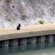 ヒメ日記 2025/09/30 08:51 投稿 あんり 北九州人妻倶楽部（三十路、四十路、五十路）