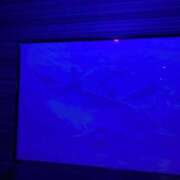 ヒメ日記 2025/10/03 13:55 投稿 あんり 北九州人妻倶楽部（三十路、四十路、五十路）