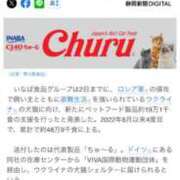 ヒメ日記 2025/10/03 15:04 投稿 あんり 北九州人妻倶楽部（三十路、四十路、五十路）