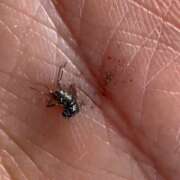 ヒメ日記 2025/10/08 13:40 投稿 あんり 北九州人妻倶楽部（三十路、四十路、五十路）