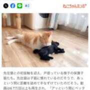 ヒメ日記 2025/10/09 08:23 投稿 あんり 北九州人妻倶楽部（三十路、四十路、五十路）