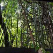 ヒメ日記 2025/10/11 13:47 投稿 あんり 北九州人妻倶楽部（三十路、四十路、五十路）