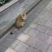 ヒメ日記 2025/10/21 07:03 投稿 あんり 北九州人妻倶楽部（三十路、四十路、五十路）