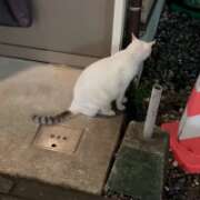 ヒメ日記 2025/10/21 19:23 投稿 あんり 北九州人妻倶楽部（三十路、四十路、五十路）