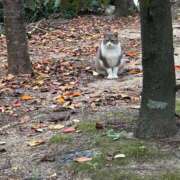 ヒメ日記 2025/10/31 08:15 投稿 あんり 北九州人妻倶楽部（三十路、四十路、五十路）