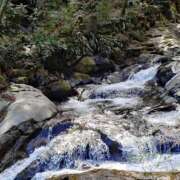 ヒメ日記 2025/05/10 00:00 投稿 きりえ 世界のあんぷり亭 町田店