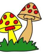 ヒメ日記 2025/03/07 20:45 投稿 りえ AVANCE福岡