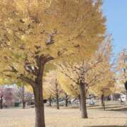 ヒメ日記 2024/12/11 13:16 投稿 まゆ 熟女デリヘル倶楽部