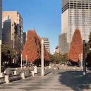 ヒメ日記 2024/12/19 18:46 投稿 まゆ 熟女デリヘル倶楽部