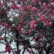 ヒメ日記 2025/02/24 08:52 投稿 まゆ 熟女デリヘル倶楽部