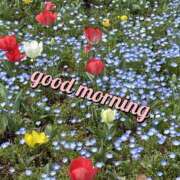 ヒメ日記 2025/02/26 09:07 投稿 まゆ 熟女デリヘル倶楽部