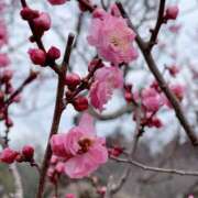 ヒメ日記 2025/03/03 18:59 投稿 まゆ 熟女デリヘル倶楽部