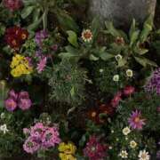 ヒメ日記 2025/03/13 17:34 投稿 まゆ 熟女デリヘル倶楽部