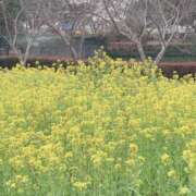 ヒメ日記 2025/03/16 09:55 投稿 まゆ 熟女デリヘル倶楽部