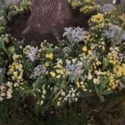 ヒメ日記 2025/04/17 18:03 投稿 まゆ 熟女デリヘル倶楽部