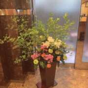 ヒメ日記 2025/05/18 19:13 投稿 まゆ 熟女デリヘル倶楽部