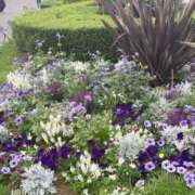 ヒメ日記 2025/06/12 17:52 投稿 まゆ 熟女デリヘル倶楽部