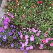 ヒメ日記 2025/06/26 09:03 投稿 まゆ 熟女デリヘル倶楽部