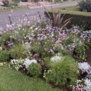 ヒメ日記 2025/07/05 17:37 投稿 まゆ 熟女デリヘル倶楽部