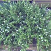 ヒメ日記 2025/07/06 19:07 投稿 まゆ 熟女デリヘル倶楽部