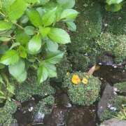 ヒメ日記 2025/08/08 20:08 投稿 まゆ 熟女デリヘル倶楽部