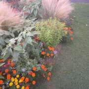 ヒメ日記 2025/09/12 09:28 投稿 まゆ 熟女デリヘル倶楽部