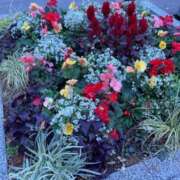 ヒメ日記 2025/11/15 09:48 投稿 まゆ 熟女デリヘル倶楽部