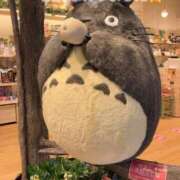 ヒメ日記 2026/01/12 17:29 投稿 まゆ 熟女デリヘル倶楽部