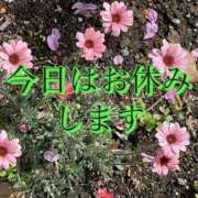 ヒメ日記 2026/01/28 08:48 投稿 まゆ 熟女デリヘル倶楽部