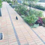 ヒメ日記 2026/01/30 12:04 投稿 まゆ 熟女デリヘル倶楽部