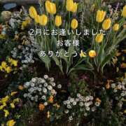 ヒメ日記 2026/02/28 18:11 投稿 まゆ 熟女デリヘル倶楽部