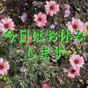 まゆ すみません 熟女デリヘル倶楽部