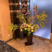 まゆ 12日の御礼 熟女デリヘル倶楽部