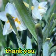 ヒメ日記 2026/04/19 19:45 投稿 まゆ 熟女デリヘル倶楽部