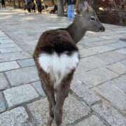 ヒメ日記 2026/04/29 18:31 投稿 まゆ 熟女デリヘル倶楽部