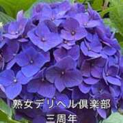 ヒメ日記 2026/06/20 09:15 投稿 まゆ 熟女デリヘル倶楽部