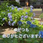 ヒメ日記 2026/06/30 17:59 投稿 まゆ 熟女デリヘル倶楽部