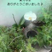 ヒメ日記 2026/09/30 18:48 投稿 まゆ 熟女デリヘル倶楽部