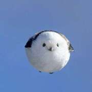 ヒメ日記 2025/06/07 20:13 投稿 おとは 人妻最後の砦 藤沢店