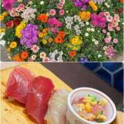 ヒメ日記 2025/03/02 18:31 投稿 れお カワサキEROTIC（ソープランド）