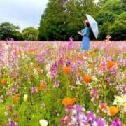 ヒメ日記 2025/06/10 12:09 投稿 れお カワサキEROTIC（ソープランド）