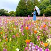 ヒメ日記 2025/07/16 03:50 投稿 れお カワサキEROTIC（ソープランド）