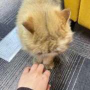 ヒメ日記 2025/10/12 22:54 投稿 れお カワサキEROTIC（ソープランド）