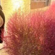 ヒメ日記 2025/11/05 17:31 投稿 れお カワサキEROTIC（ソープランド）