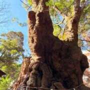 ヒメ日記 2026/01/27 20:55 投稿 れお カワサキEROTIC（ソープランド）