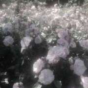 ヒメ日記 2025/06/30 14:02 投稿 れお【アナル舐めの伝道師】 ポニーテール和歌山店